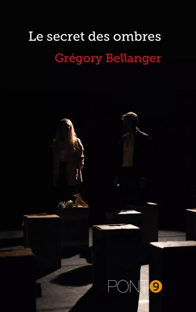 Le secret des ombres - Grégory Bellanger - AU PONT 9