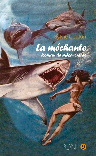 La méchante - Sylvie Coulon - AU PONT 9