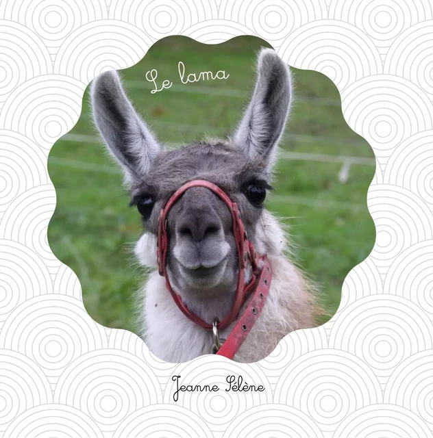 Le lama - Jeanne Sélène - JS EDITIONS