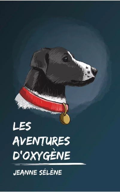 Les aventures d'Oxygène - Jeanne Sélène - JS EDITIONS