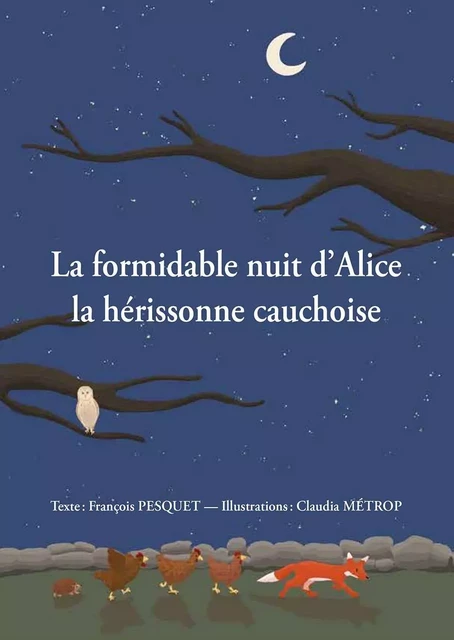 La formidable nuit d'Alice la hérissonne cauchoise - François Pesquet - WOOZ EDITIONS