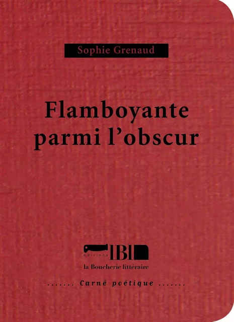 Flamboyante parmi l'obscur - Sophie Grenaud - BOUCHERIE LIT