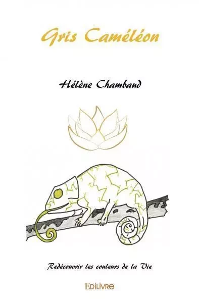 Gris caméléon - Hélène Chambaud - Edilivre