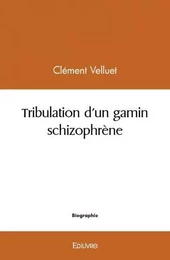 Tribulation d'un gamin schizophrène