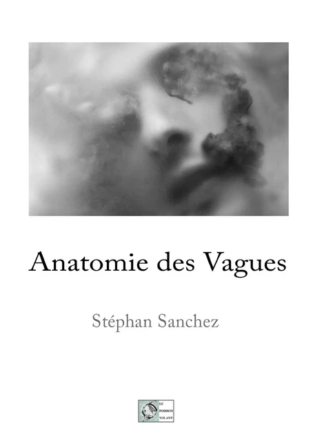 Anatomie des vagues - Stéphan SANCHEZ - POISSON VOLANT