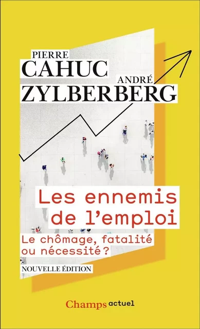 Les ennemis de l'emploi - André Zylberberg, Pierre Cahuc - FLAMMARION