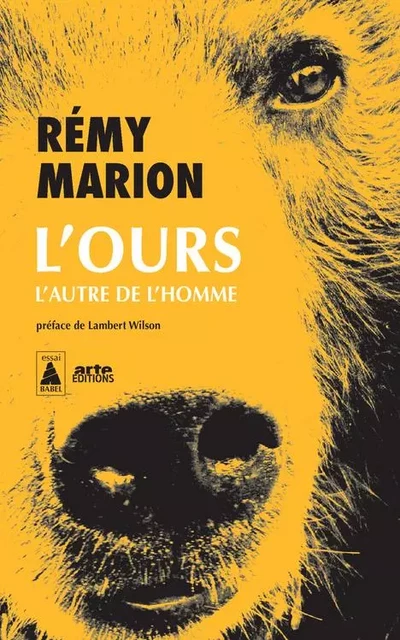 L'Ours - Rémy Marion - ACTES SUD