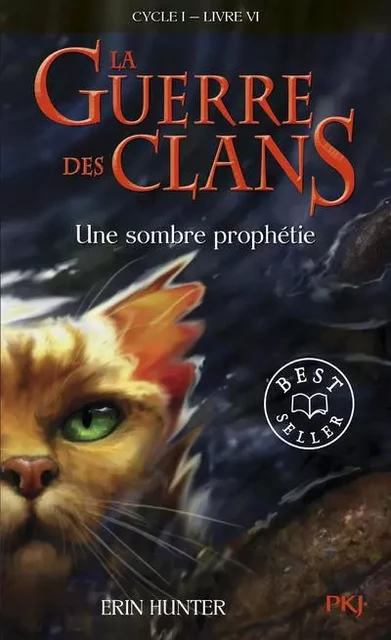 La guerre des Clans - cycle I - tome 6 Une sombre prophétie -poche- - Erin Hunter - Univers Poche