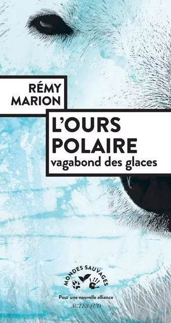 L'ours polaire, vagabond des glaces - Rémy Marion - ACTES SUD