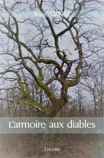 L'armoire aux diables - Bruno Daniel - EDILIVRE