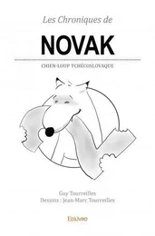 Les chroniques de novak 2