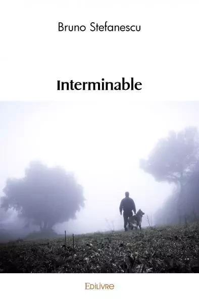 Interminable - Bruno Stefanescu - EDILIVRE