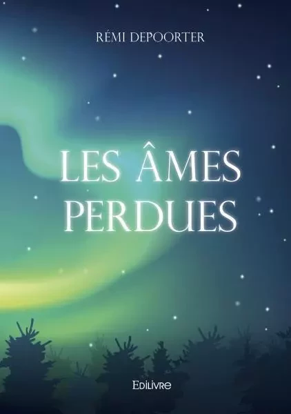 Les âmes perdues - Rémi Depoorter - EDILIVRE