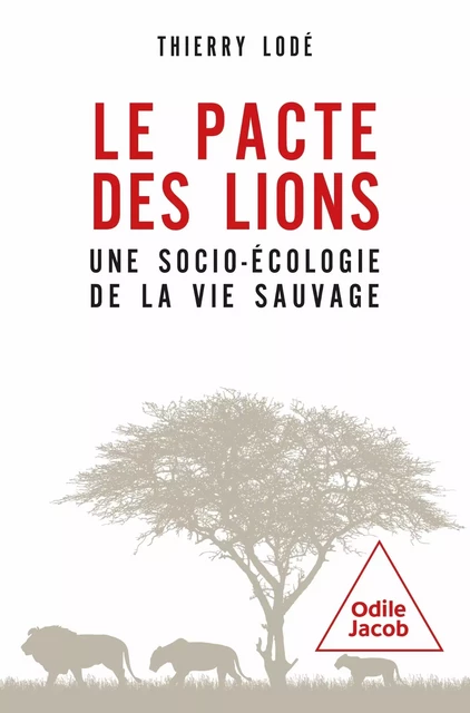 Le pacte des lions - Thierry Lodé - JACOB