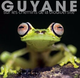 Guyane