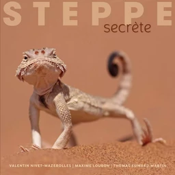 Steppe secrète