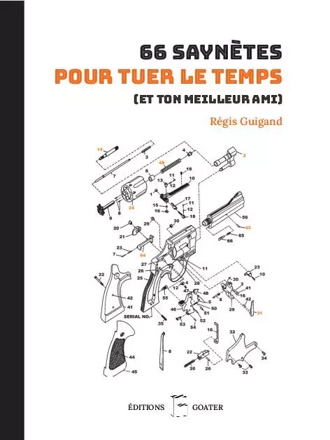 66 saynètes pour tuer le temps (et ton meilleur ami) - Régis Guigand - GOATER