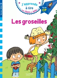 Sami et Julie CP Niveau 3 Les Groseilles