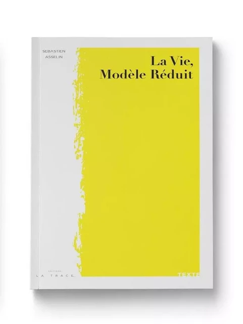 La vie, modèle réduit - Sebastien ASSELIN - LA TRACE