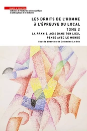 Les droits de l'homme à l'épreuve du local - Tome 2