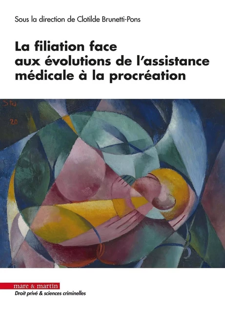 La filiation face aux évolutions de l'assistance médicale à la procréation - Clotilde Brunetti-Pons - MARE MARTIN