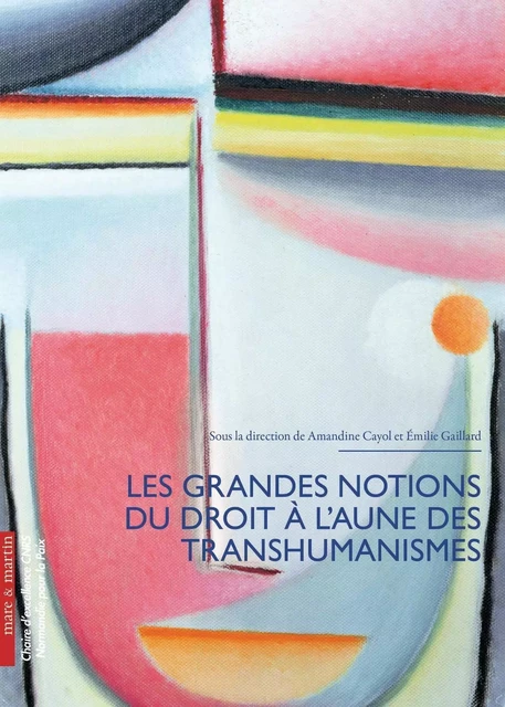 Les grandes notions du droit à l'aune du transhumanisme - Émilie Gaillard, Amandine Cayol - MARE MARTIN