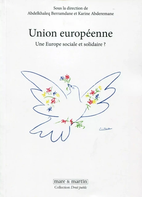 Union européenne - Abdelkhaleq Berramdane, Karine Abderemane,  Groupe d'études et de recherches sur la coopération internationale et européenne - MARE MARTIN