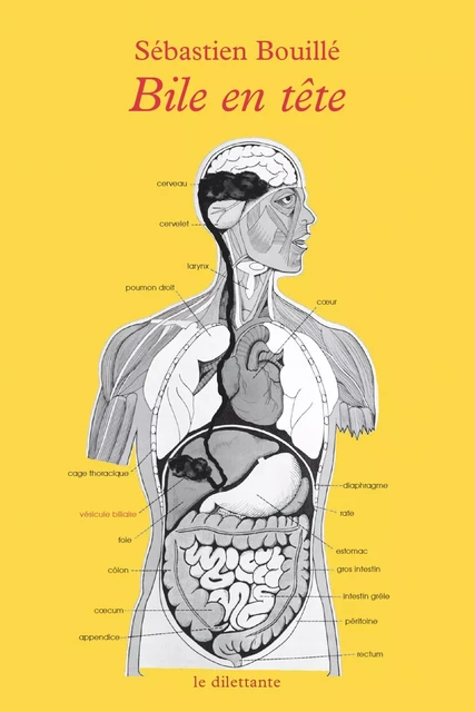 Bile en tete - Sébastien Bouillé - LE DILETTANTE