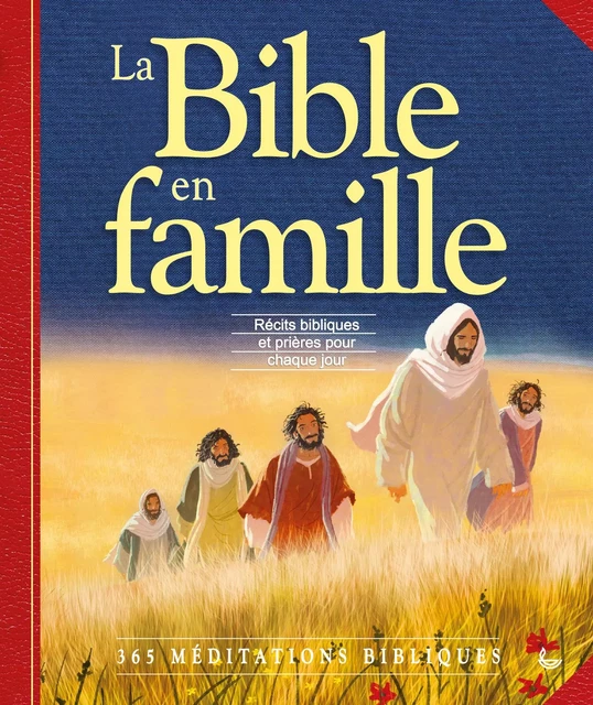 La Bible en famille -  Sally Ann Wright - LECTURE BIBLE F