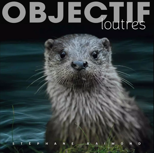 Objectif loutres - Stéphane Raimond - OMNISCIENCE