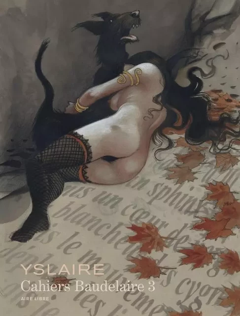 Baudelaire - Cahiers - Tome 3 -  Yslaire - EDITIONS DUPUIS