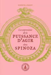 Les expressions de la puissance d'agir chez Spinoza