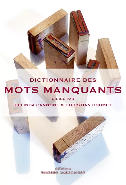 Dictionnaire des mots manquants - Belinda Cannone, Christian Doumet - MARCHAISSE