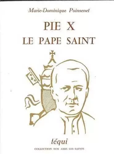 PIE X - Le pape Saint - Marie-Dominique POINSENET - TEQUI