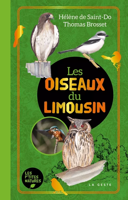 OISEAUX DU LIMOUSIN (COLL. LES P'TITES NATURES) - Thomas BROSSET - GESTE