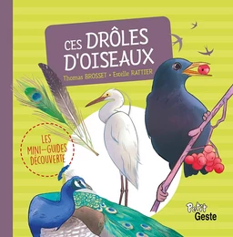 LES P'TITS SECRETS DES DROLES D'OISEAUX