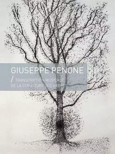 TRANSCRIPTION MUSICALE DE LA STRUCTURE DES ARBRES -  GIUSEPPE PENONE - B CHAUVEAU