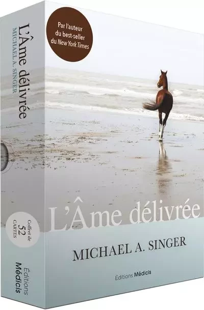 L'Ame délivrée - Michael A. Singer - Dervy