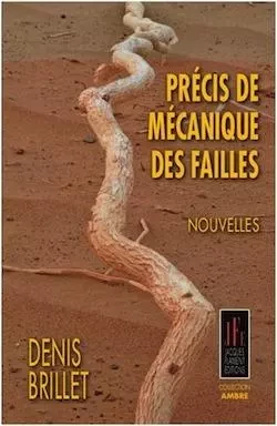 PRÉCIS DE MÉCANIQUE DE FAILLES - DENIS BRILLET - JACQUES FLAMENT