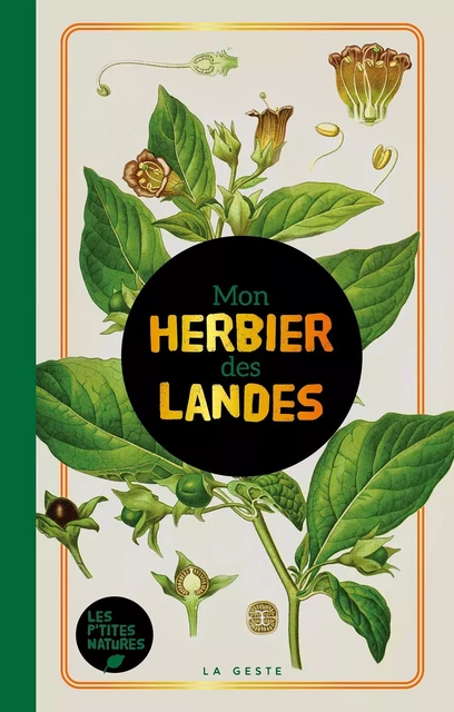 HERBIER DES LANDES (GESTE) (POCHE - RELIE) COLL. BAROQUE - D'AUTEURS COLLECTIF - GESTE