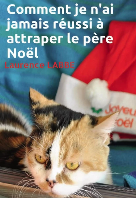 Comment je n'ai jamais réussi à attraper le père Noël - Laurence LABBE - BOOKELIS