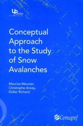 Conceptual approach to the study of snow avalanches