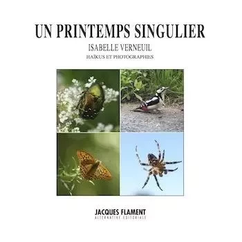 UN PRINTEMPS SINGULIER - Isabelle VERNEUIL - JACQUES FLAMENT