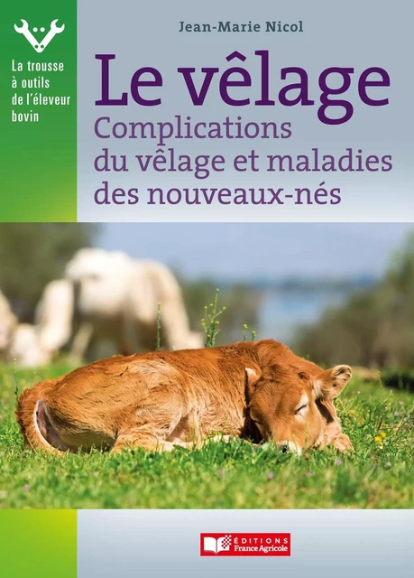 Vêlage, complications du vêlage et maladies des nouveaux-nés - Jean-Marie Nicol - FRANCE AGRICOLE