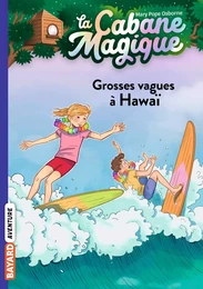 La cabane magique, Tome 23