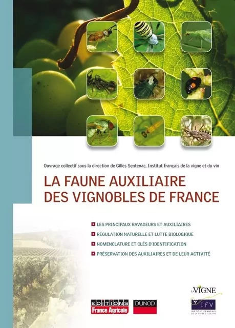 LA FAUNE AUXILIAIRE DES VIGNOBLES DE FRANCE -  SENTENAC-G - FRANCE AGRICOLE