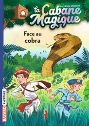 La cabane magique, Tome 40