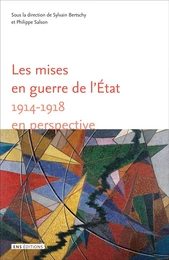 Les mises en guerre de l'État - 1914-1918 en perspective