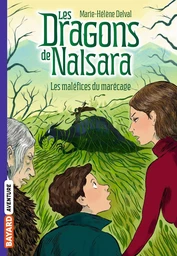 Les dragons de Nalsara, Tome 11