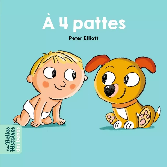 À 4 pattes -  - BAYARD JEUNESSE